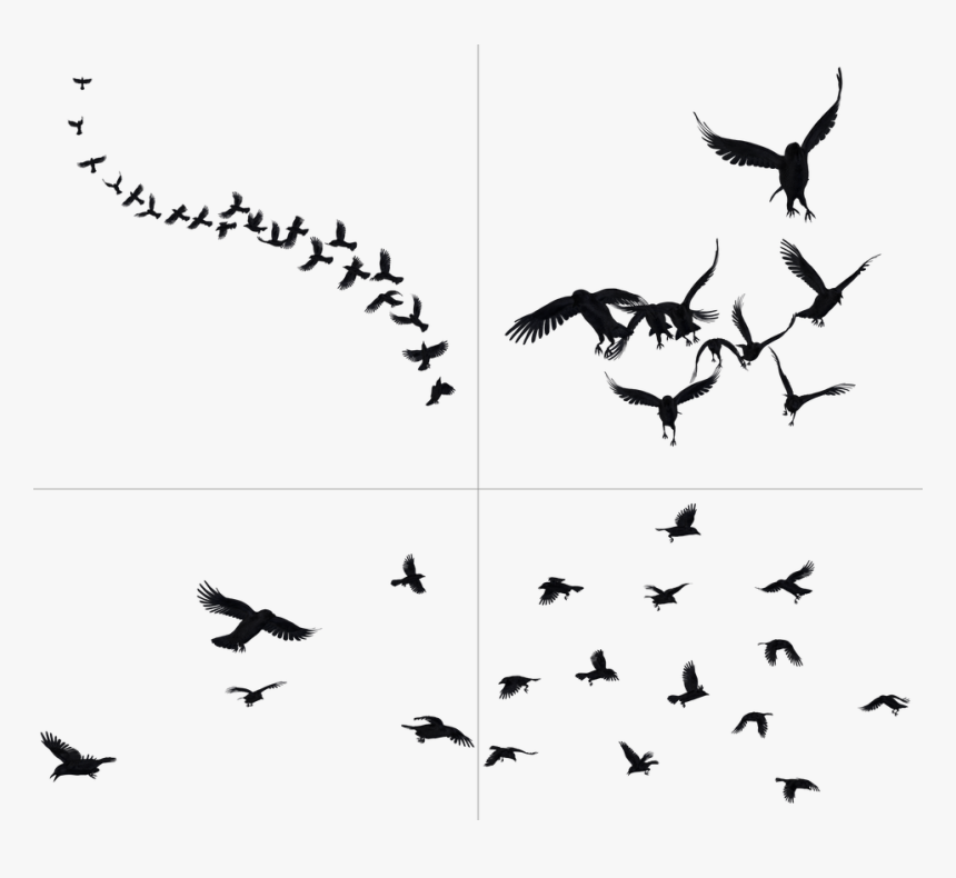 Crows In Flight Stock - Crows Png, Transparent Png