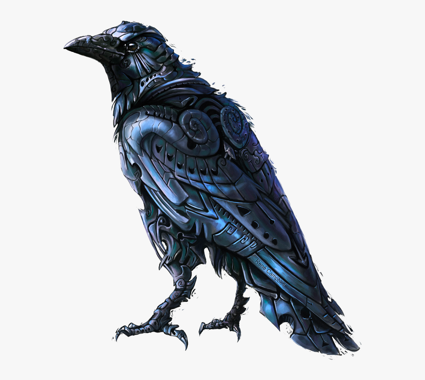#mq #black #crow #bird #birds - Crow Drawing, HD Png Download