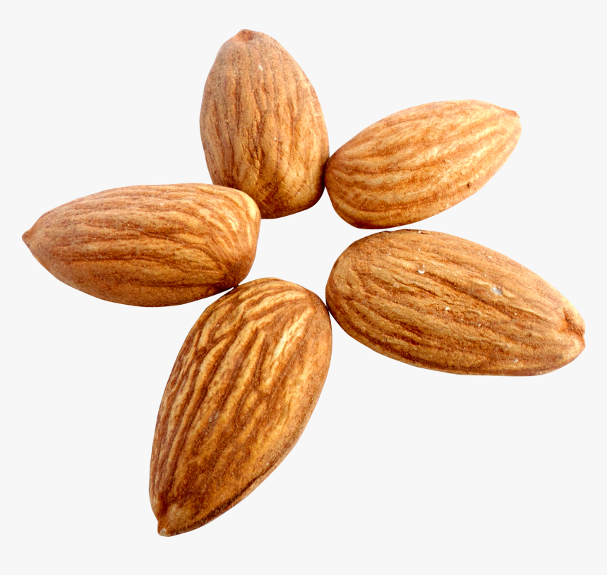 Almond Png, Transparent Png