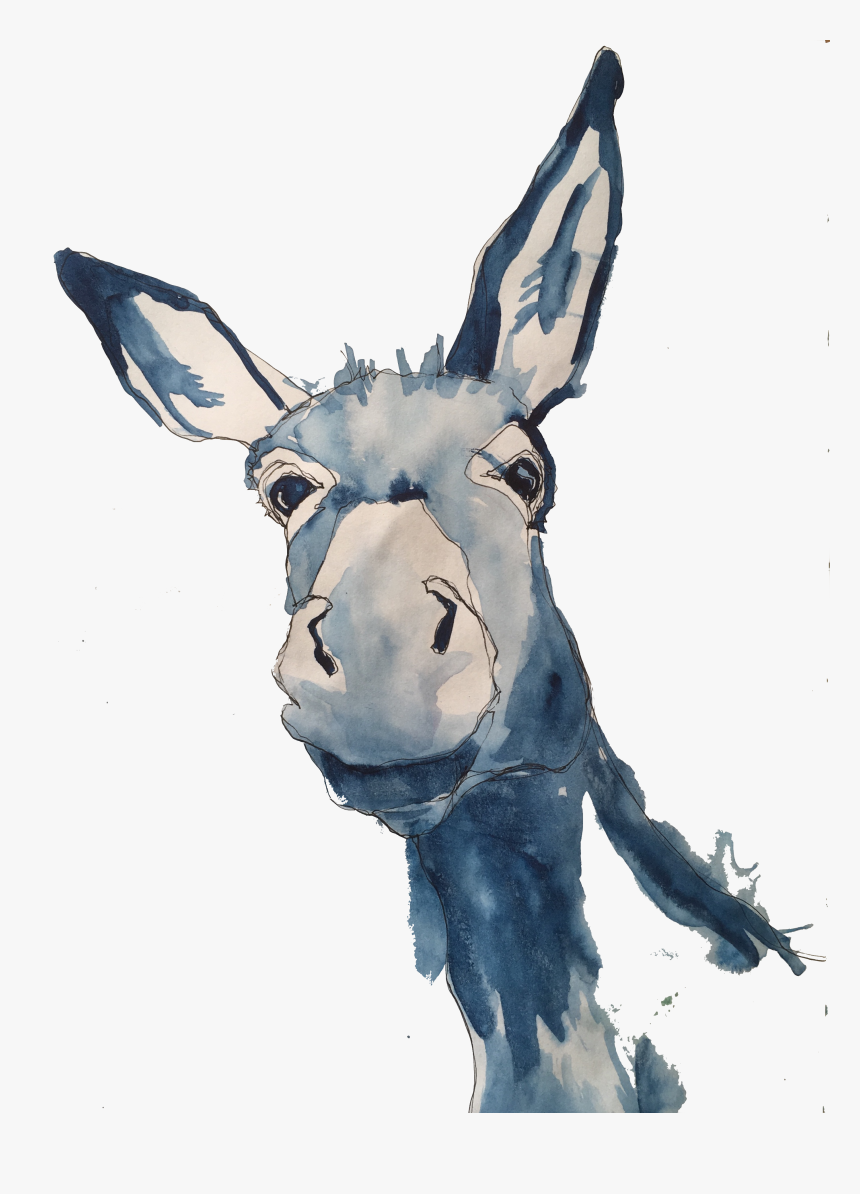 Drawing Donkey Burro - Burro, HD Png Download