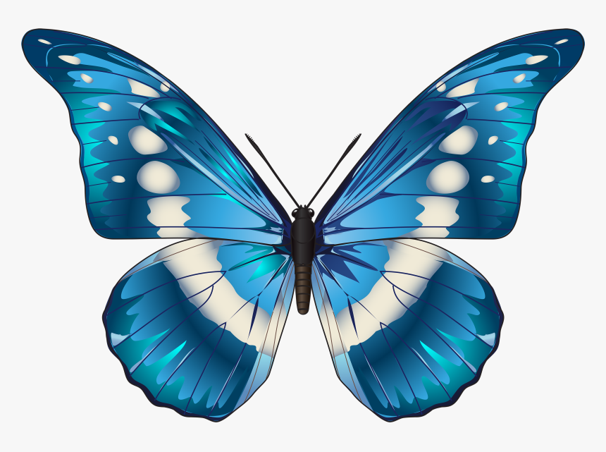 Blue Butterfly Png - Blue Morpho Butterfly Clip Art, Transparent Png