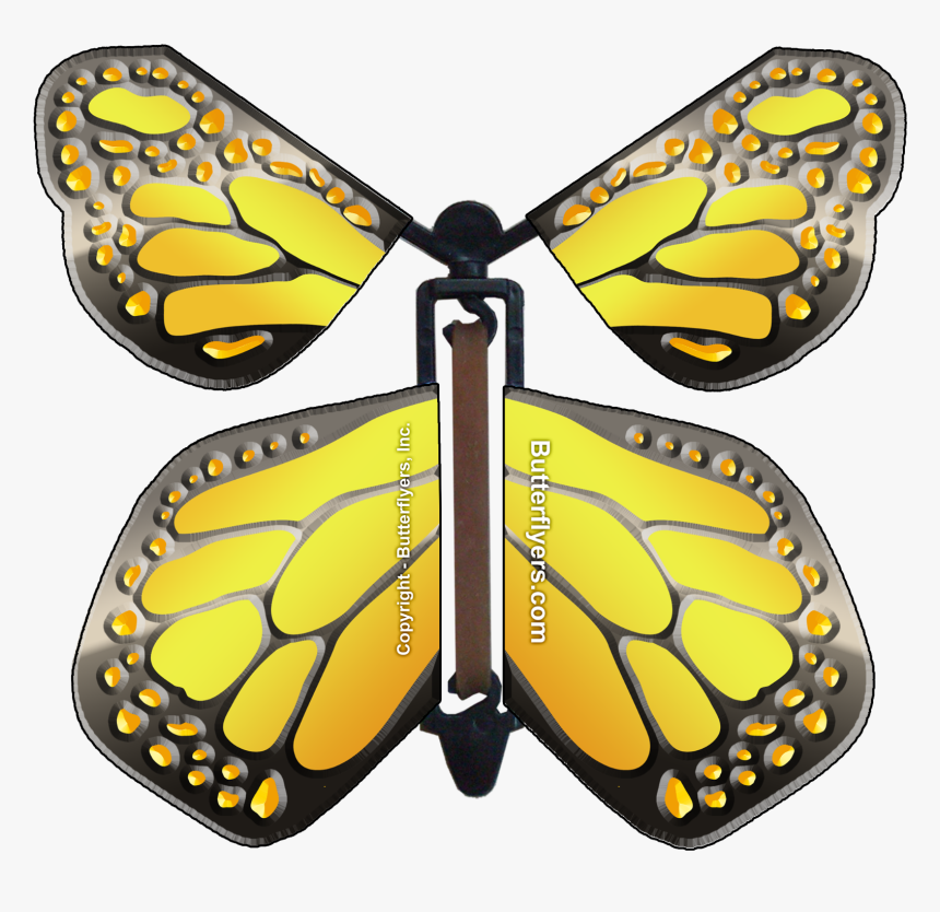 Flying Butterfly In Card, HD Png Download