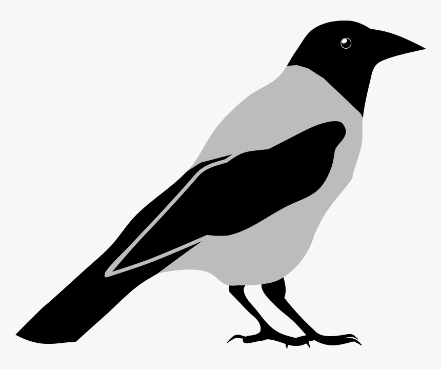 Clip Art Black And - Crow Clipart Black And White, HD Png Download