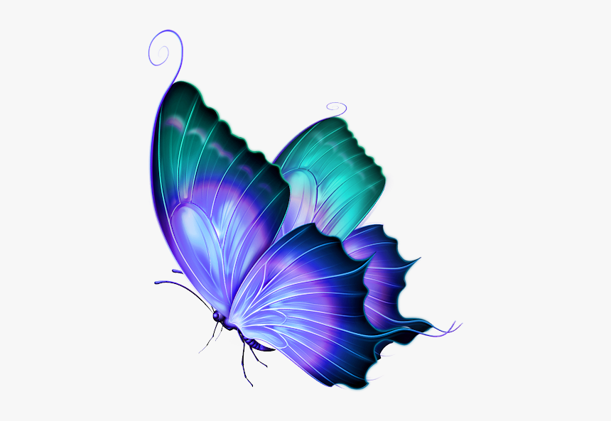 Transparent Background Butterfly Png, Png Download