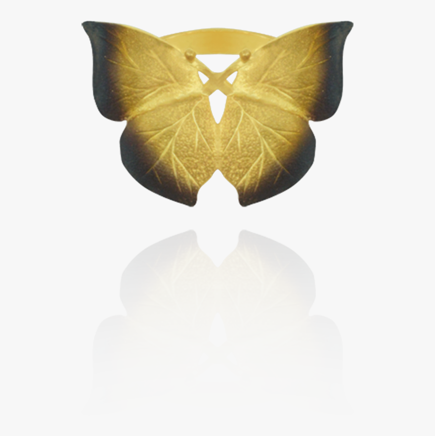 Silver Spotted Skipper, HD Png Download