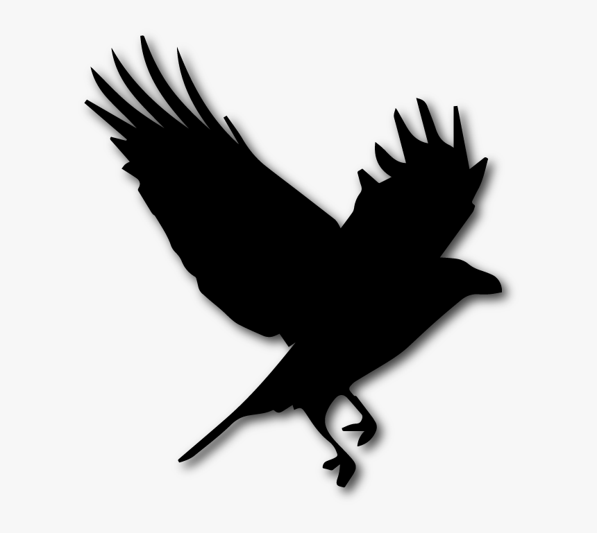 Black Crow Png, Transparent Png