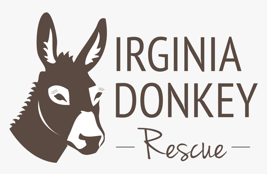 Donkey For Sale In Virginia Beach , Png Download - Burro, Transparent Png