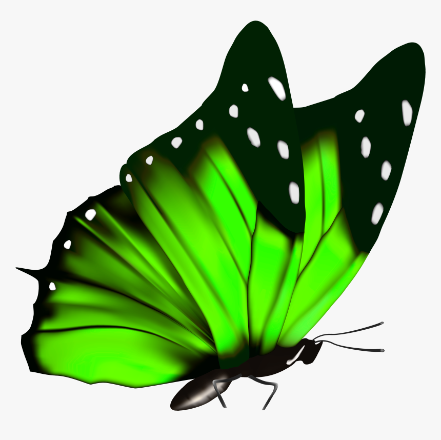 Transparent Background Blue Butterfly Png, Png Download