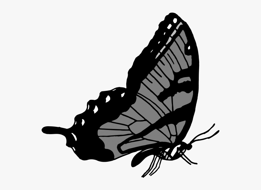 Transparent Flying Butterflies Png - Papilio Machaon, Png Download