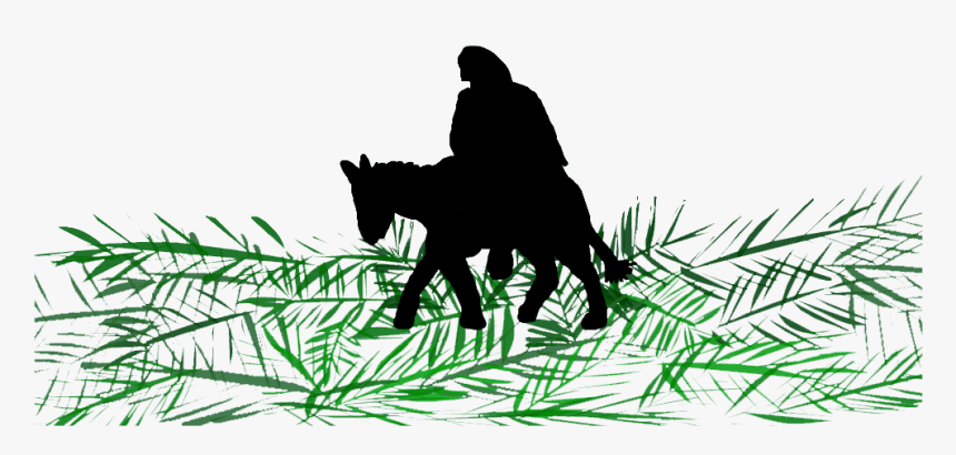 Transparent Palm Sunday Clip Art - Silhouette, HD Png Download