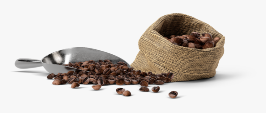 Coffee St Pete - Coffee Mockup Scene Creator, HD Png Download