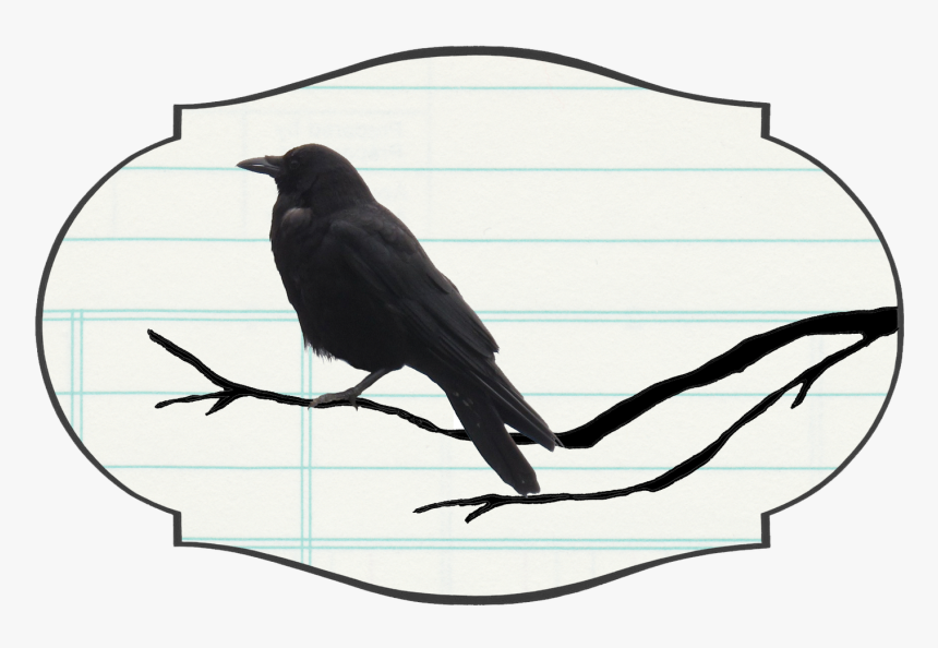 American Crow, HD Png Download
