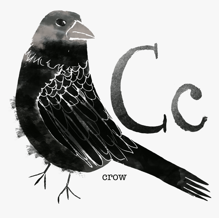 Crow - Rose Breasted Grosbeak, HD Png Download