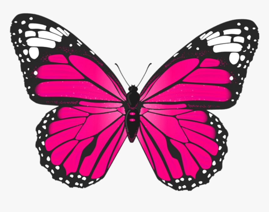Pink Butterfly Png - Butterfly Pink, Transparent Png