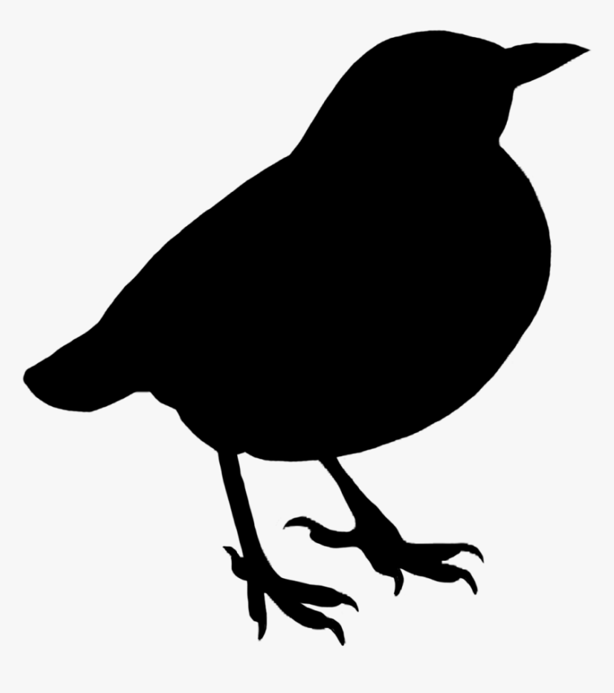 Bird Silhouette No Background Hd Png Download Transparent Png
