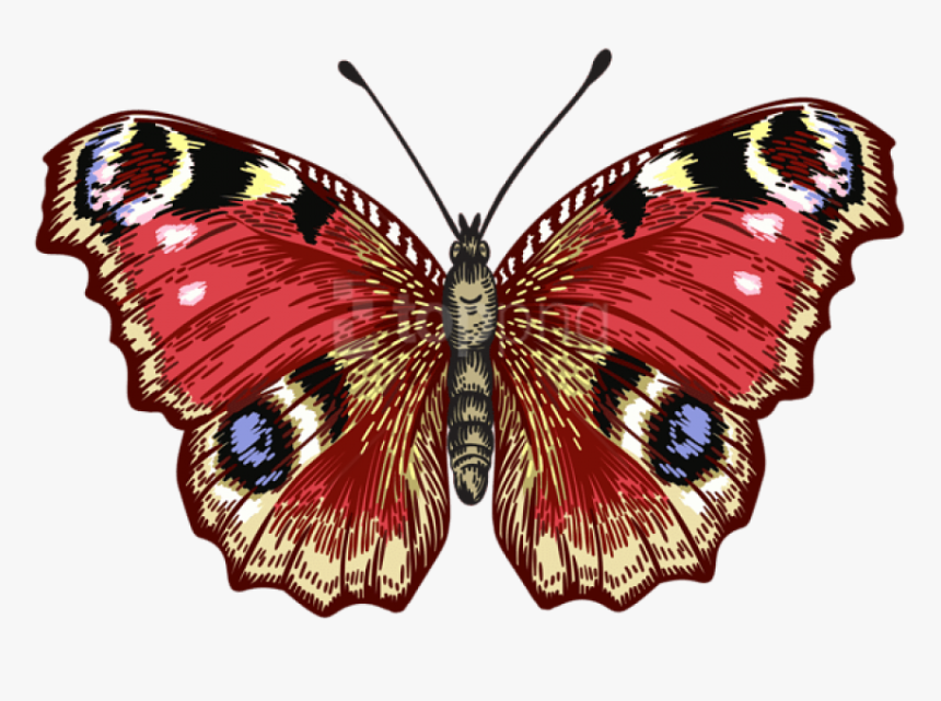 Red Butterfly Png - Brush-footed Butterfly, Transparent Png