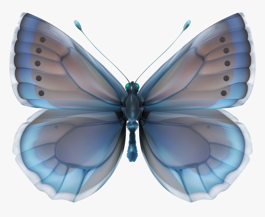 Decoupage Butterflies In Blue, HD Png Download