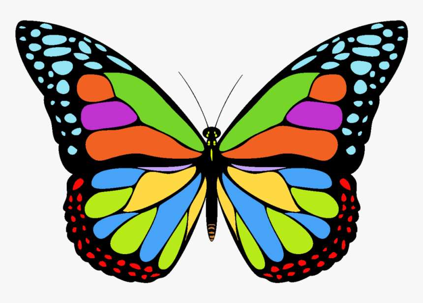 Icon Png Free Butterfly - Transparent Butterfly Icon Png, Png Download