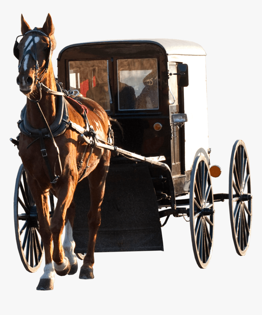 Horse Drawn Carriage Modern, HD Png Download