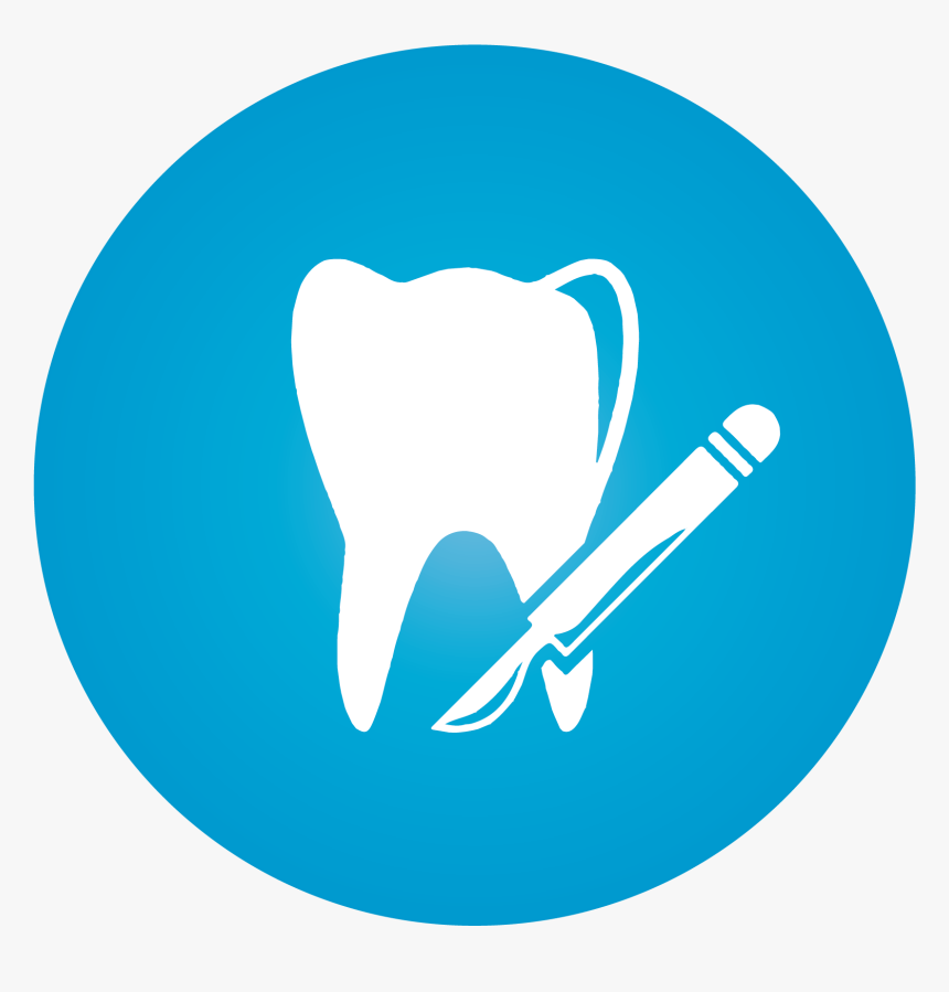 Marine Mammal Clipart Social Media Computer Icons Vimeo - Twitter Moments Icon, HD Png Download