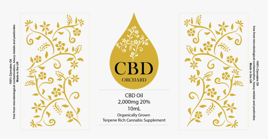 Motif, HD Png Download