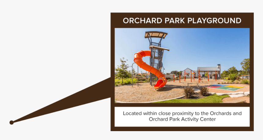 Tree, HD Png Download