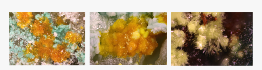 Succade, HD Png Download