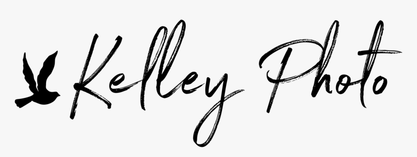 Transparent Signatures Mcgonagall - Calligraphy, HD Png Download