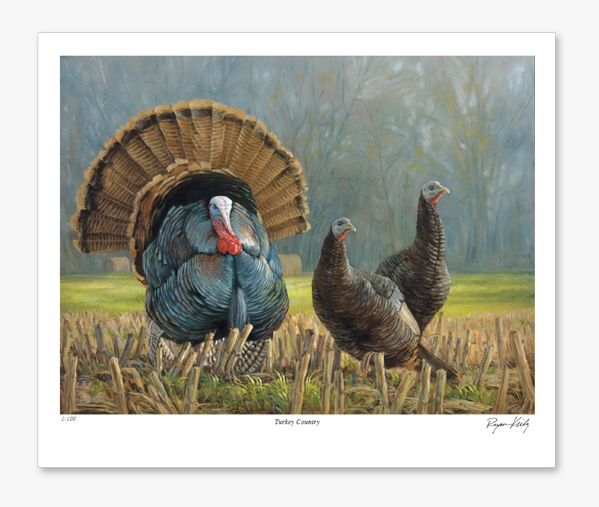 Ryan Kirby Turkey Country Nwtf Stamp Print, HD Png Download
