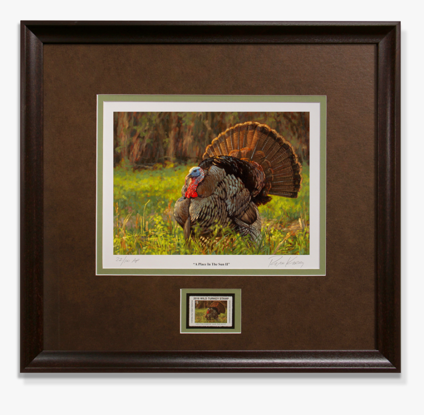 Ryan Kirby Turkey Nwtf 2016 Framed Stamp Print A Place, HD Png Download