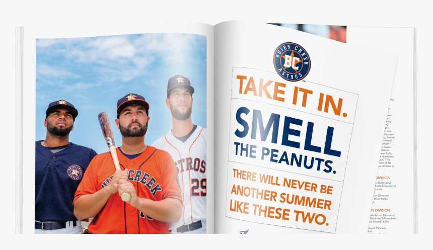 Bernie Face Png, Transparent Png