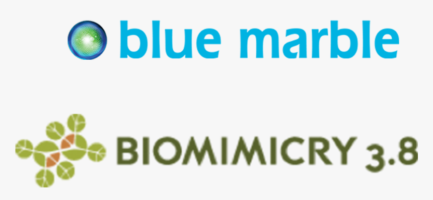 Grape, HD Png Download