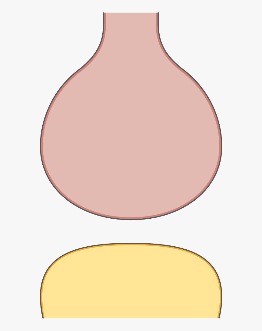 Unlabeled Synapse, HD Png Download