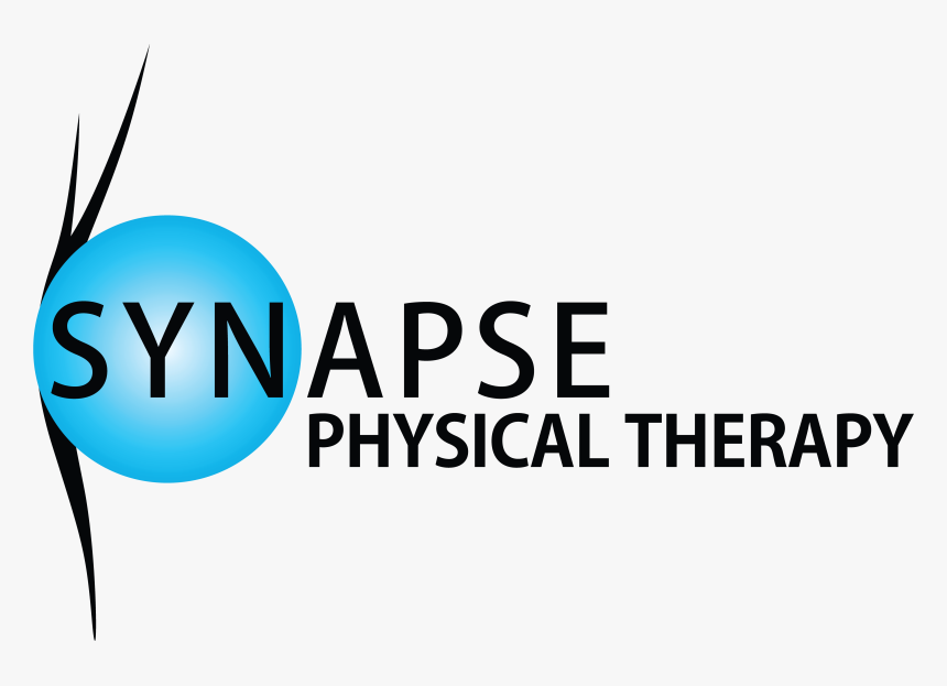 Healthflex - Synapse, HD Png Download