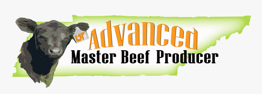 Ambp Logo Final - Graphics, HD Png Download