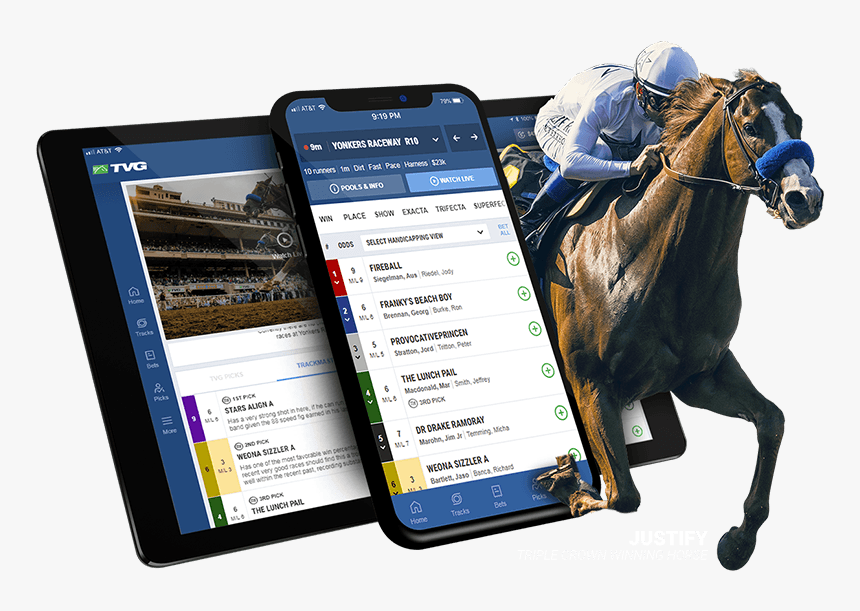 Stallion, HD Png Download