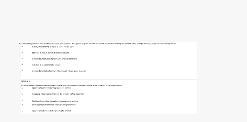 Screenshot, HD Png Download