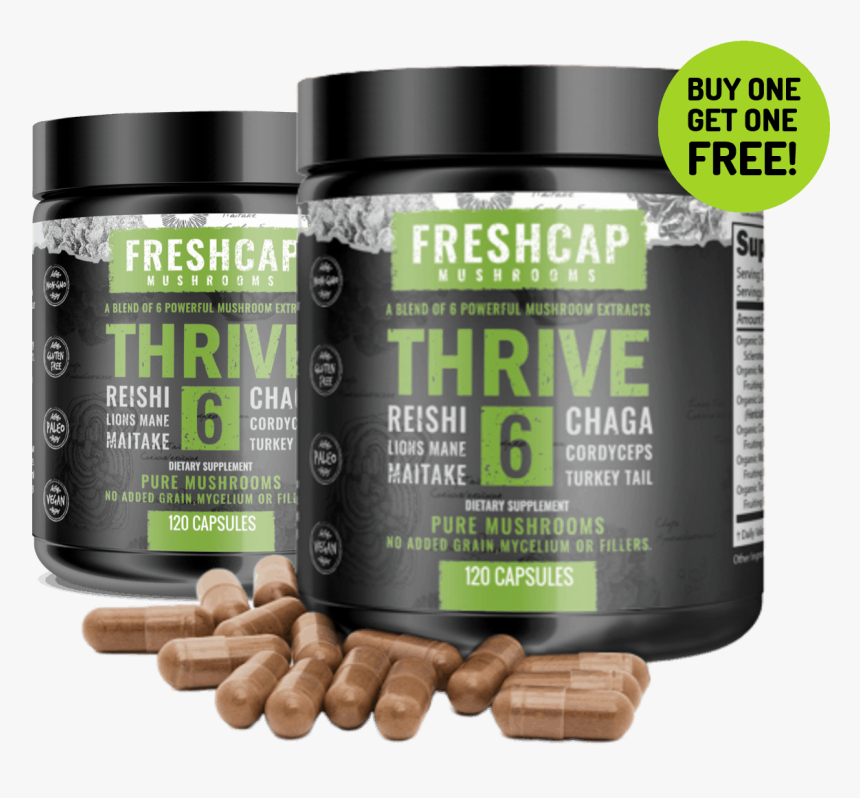 Image - Lion's Mane, HD Png Download