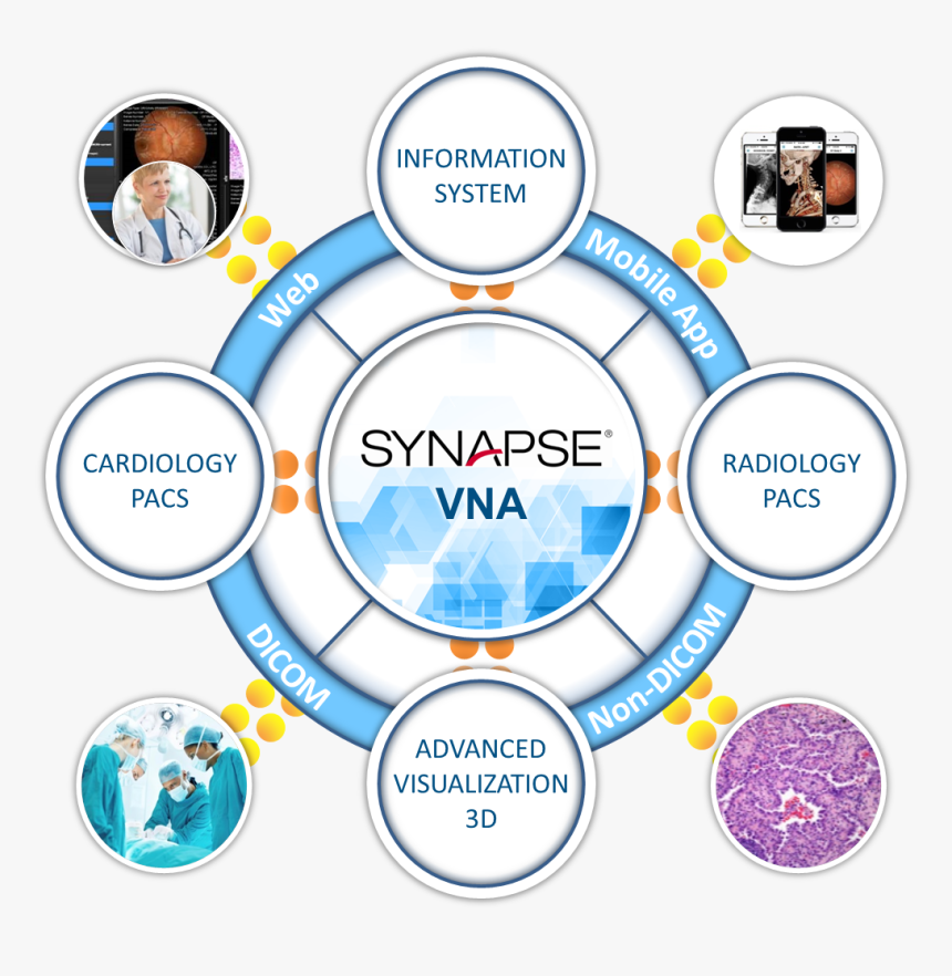 Synapse Vna, HD Png Download