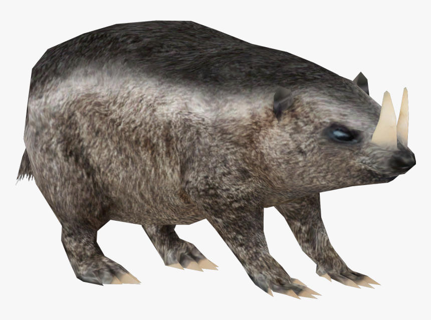 Punxsutawney Phil, HD Png Download