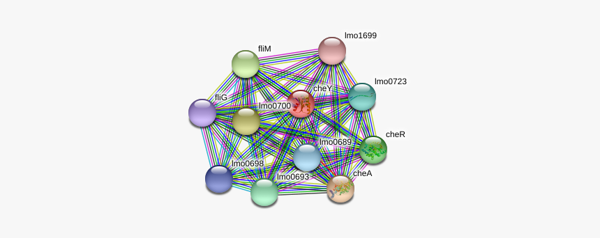 Chey Protein, HD Png Download