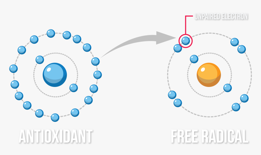 Stampin Up Mixed Medley, HD Png Download