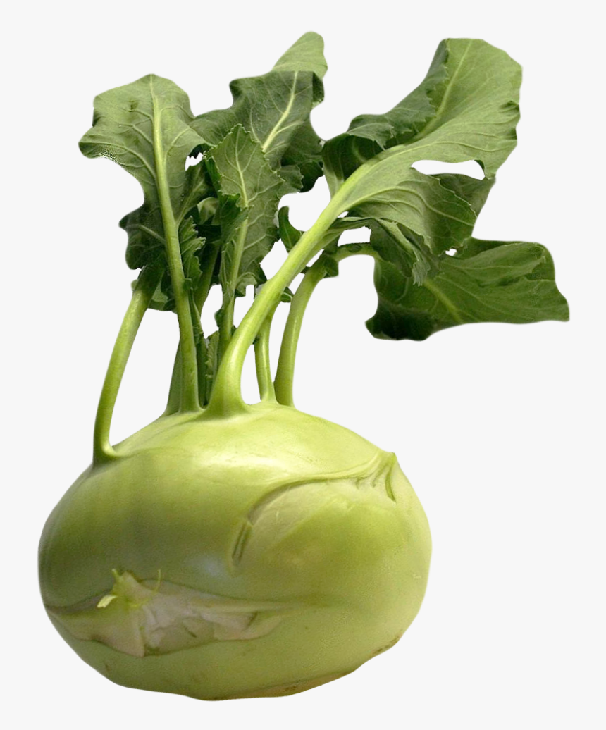 Fresh Kohlrabi With Green Leaves Png Image - Kohlrabi Png, Transparent Png