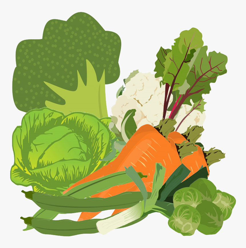 Mixed Vegetables Image - Cabbage Clipart, HD Png Download