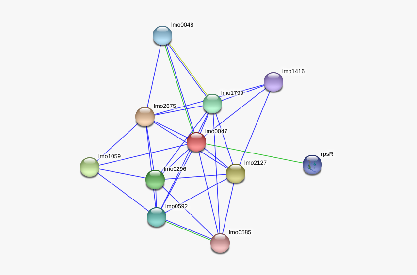 Lmo0047 Protein, HD Png Download