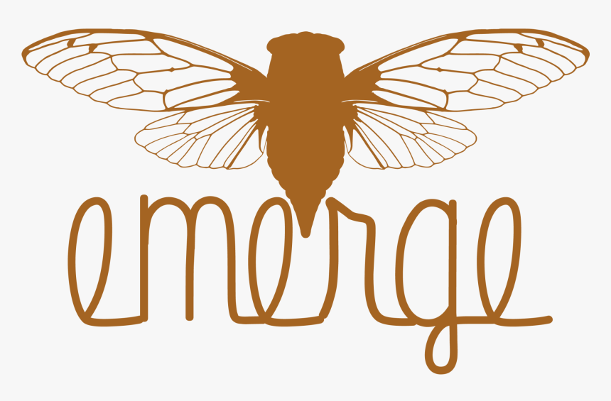 Cicadas, HD Png Download