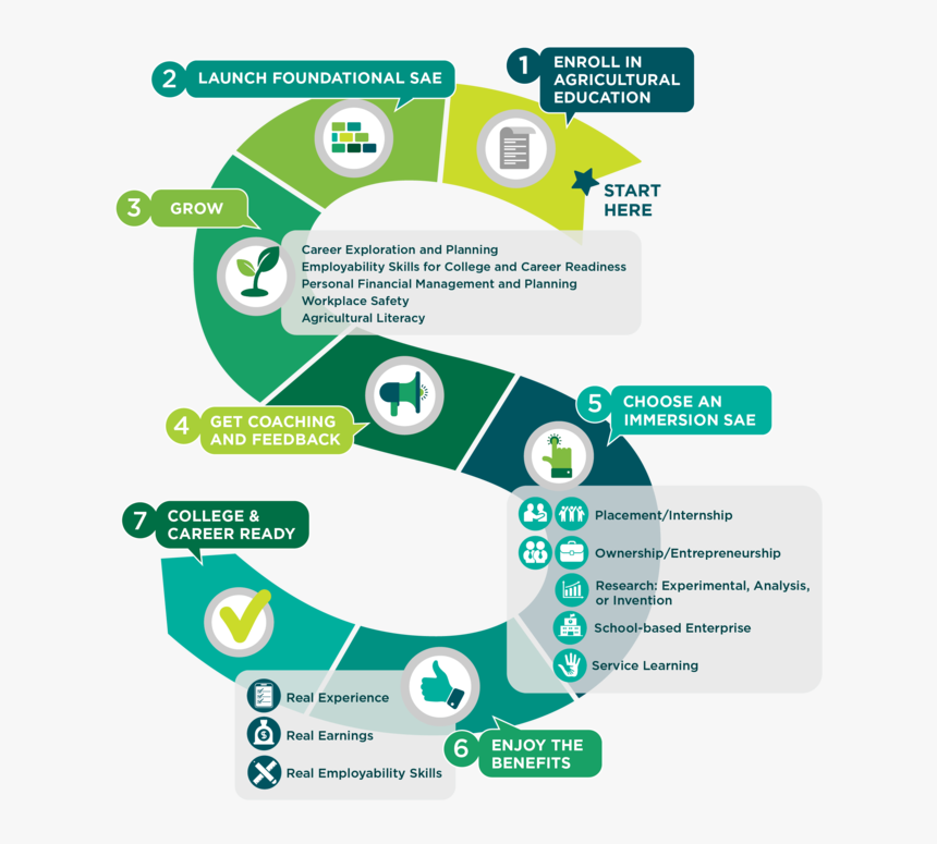 Graphic Design, HD Png Download