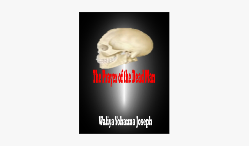 Poster, HD Png Download