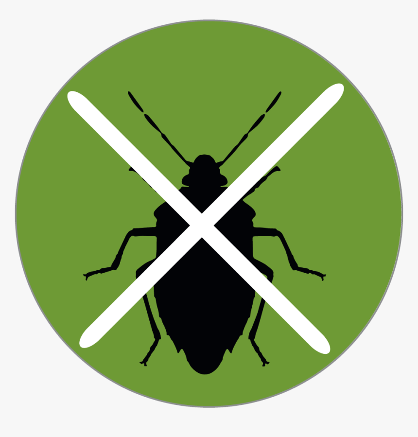 Endophyte - Resistance To Insects Icon, HD Png Download