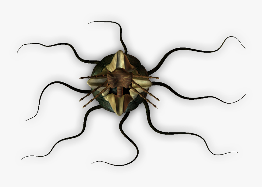Dundjinni Egg Png, Transparent Png